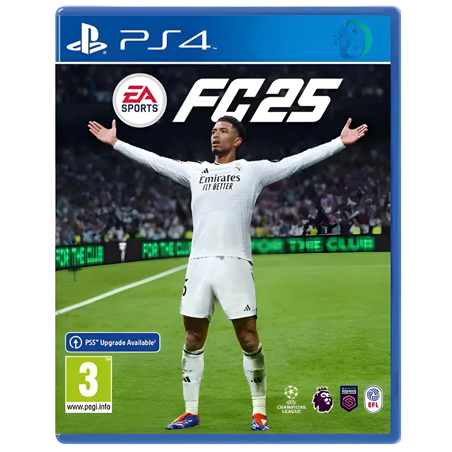 PS4 EA Sports FC 25 Used